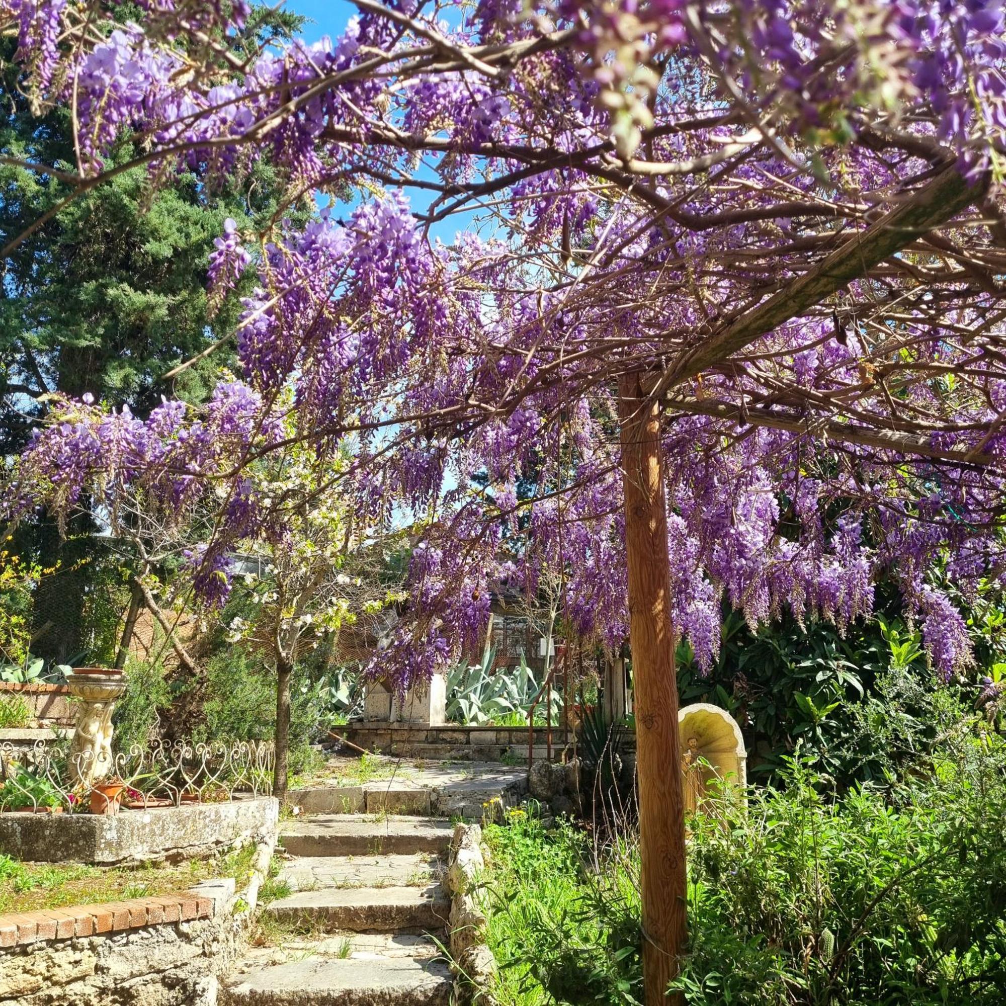 San Francesco Hotel Раполано Терме Екстериор снимка